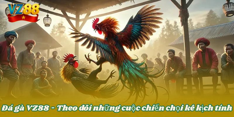 Đá gà VZ88 - Theo dõi những cuộc chiến chọi kê kịch tính 1 Đá gà VZ88 - Theo dõi những cuộc chiến chọi kê kịch tính