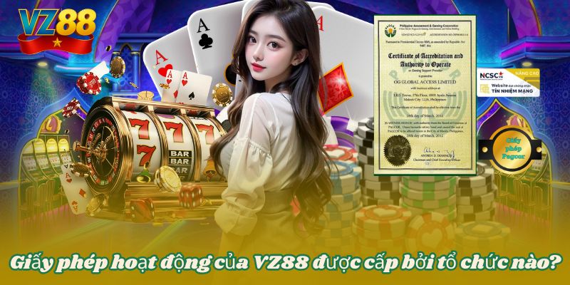 Giấy phép hoạt động của VZ88 được cấp bởi tổ chức nào?