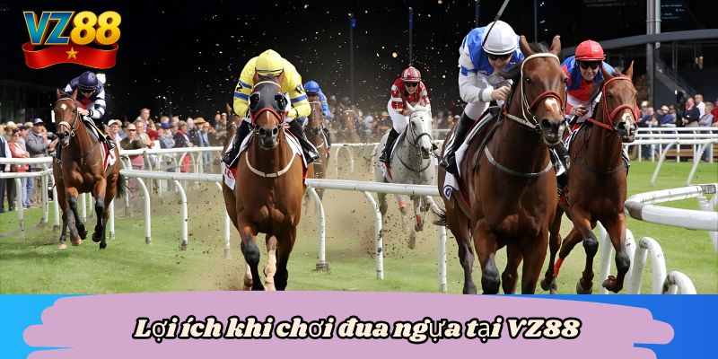 Đua ngựa VZ88 - Cách chinh phục, rinh thưởng lớn 6 Lợi ích khi chơi đua ngựa tại VZ88