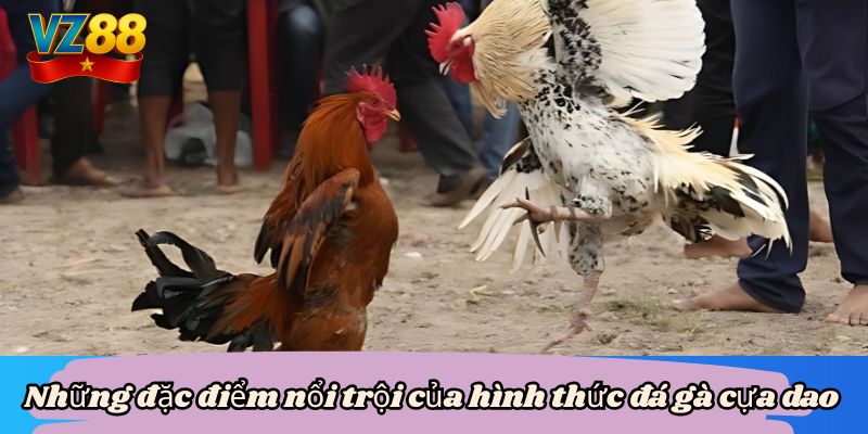Những đặc điểm nổi trội của hình thức đá gà cựa dao