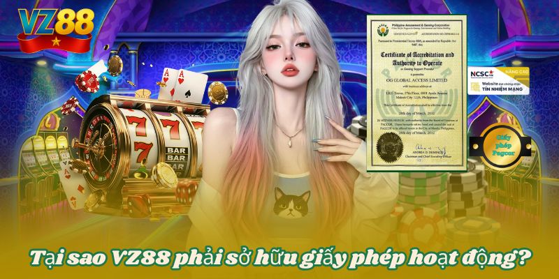 Tại sao VZ88 phải sở hữu giấy phép hoạt động?